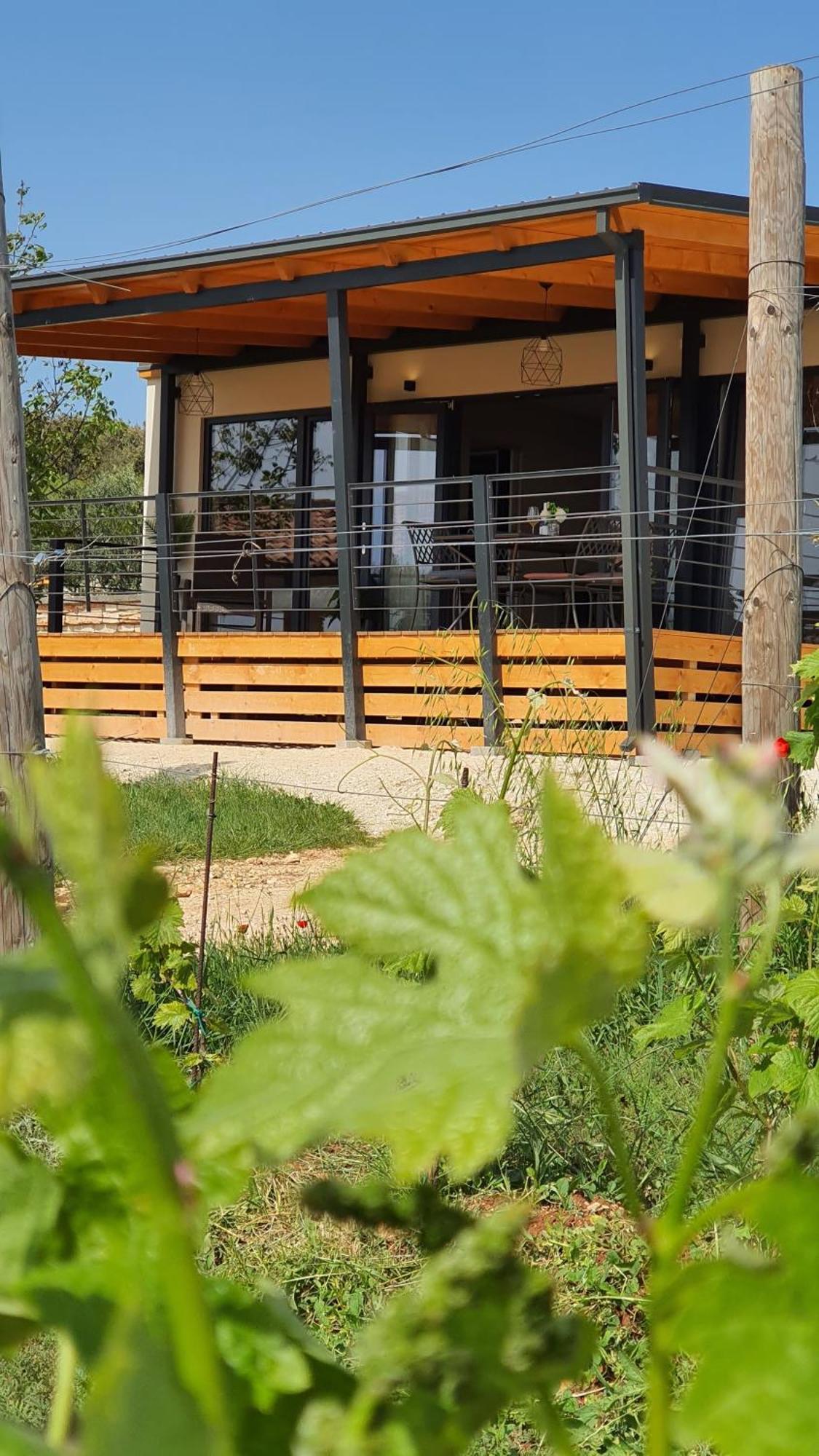 Collis Winery - Family & Friends - Mobilhome Rovinj Exterior photo