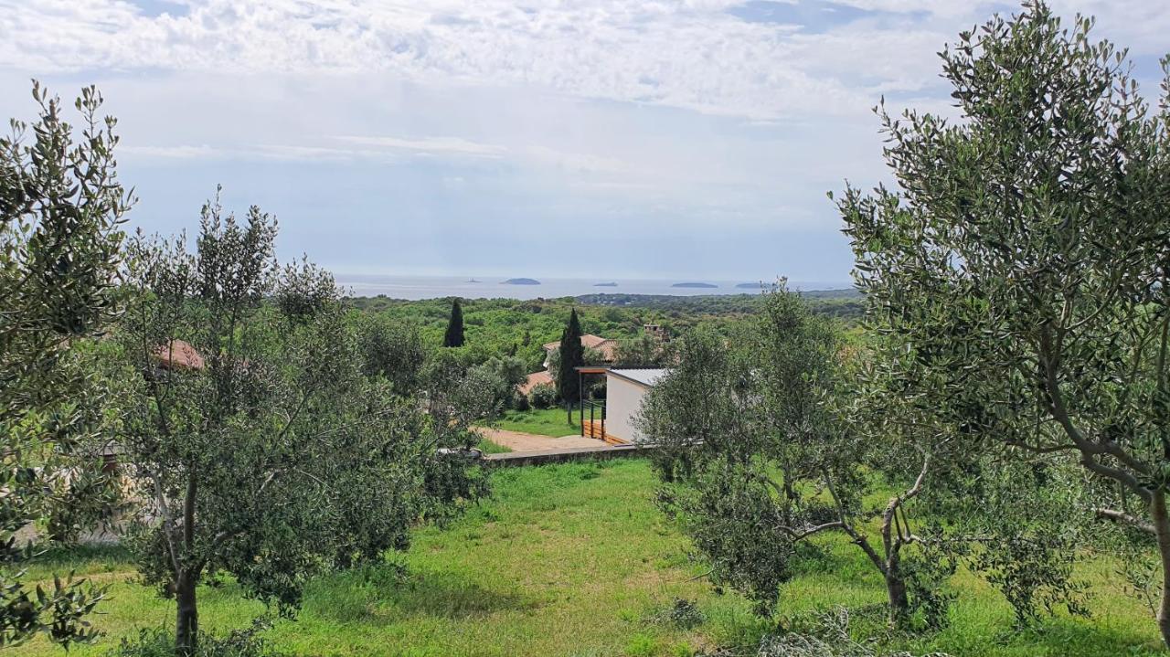 Collis Winery - Family & Friends - Mobilhome Rovinj Exterior photo